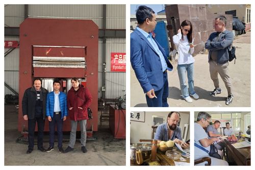 Letzte Unternehmenslösungen über Europäische Kunden kauften Gummiformmaschine